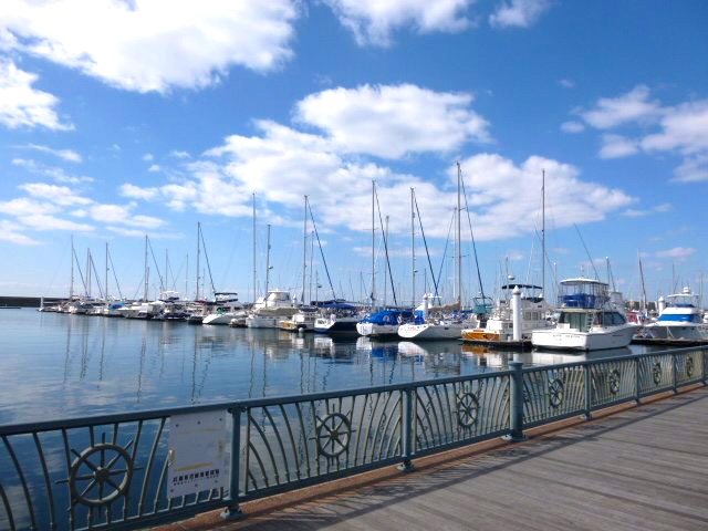西宮マリナパークシティ海のまち5番館の周辺|夏のヨットハーバー、体験クルージング等も楽しめます。