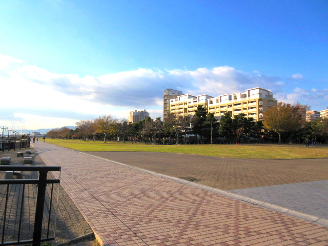 西宮マリナパークシティ海のまち5番館の周辺|浜辺の公園です。