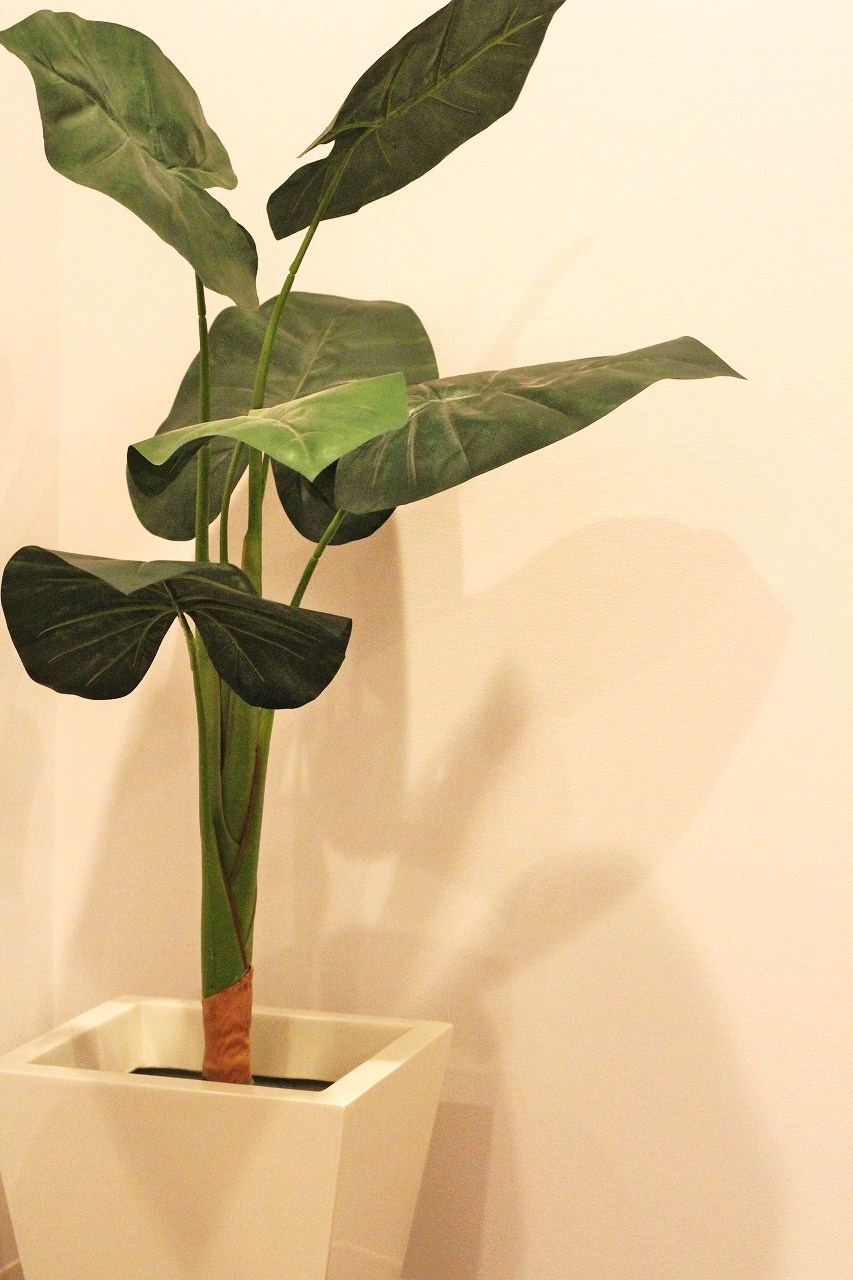 パルティール大領