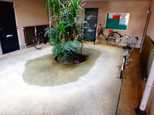 フェローズ21のエントランス