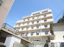 Aube de Merの画像