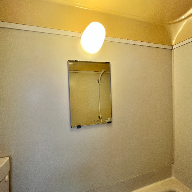 さくらハイムの洗面所