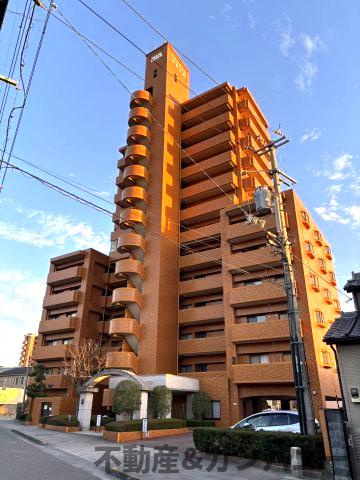 ダイアパレス道後公園の外観