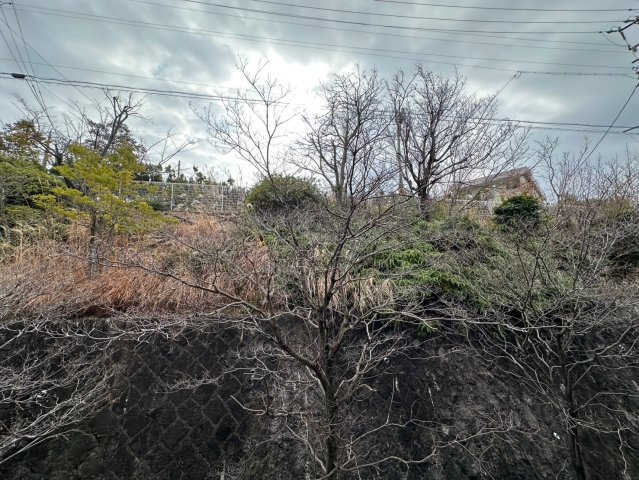 シティコーポ春里の展望|バルコニーからの眺望です！