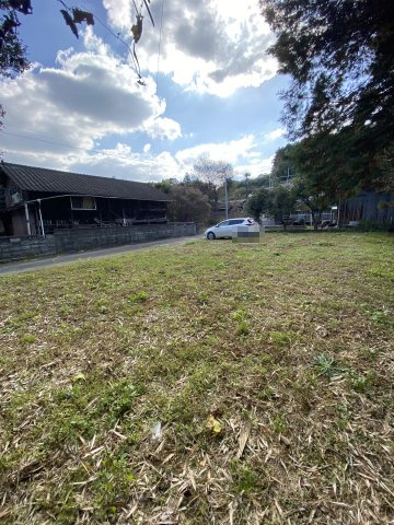 【前面道路含む現地写真】 | 菊池郡大津町杉水2453