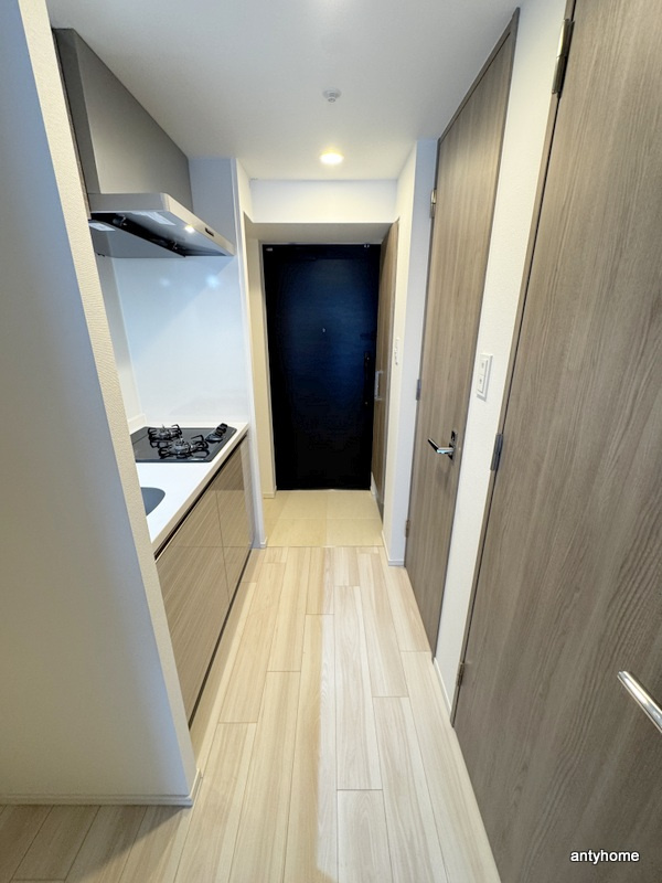 S-RESIDENCE難波大国町domina　仲介手数料無料の内装