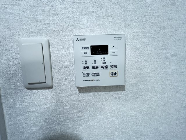 F asecia propusのその他