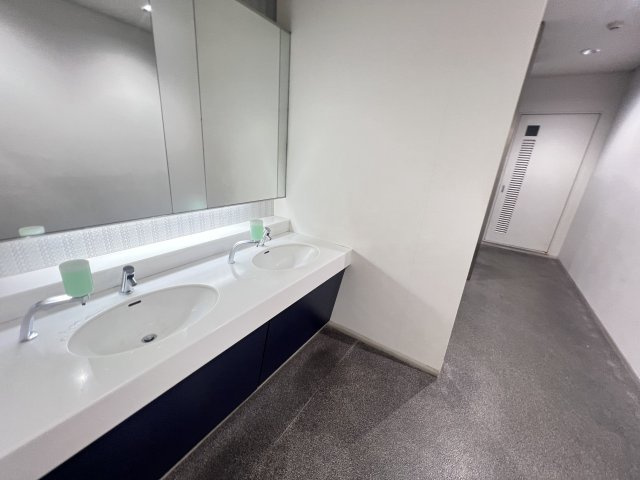 コモ・スクエア ウエストの洗面所
