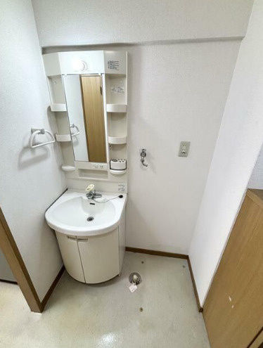 熊本市南区御幸笛田４丁目の賃貸マンションの独立洗面台