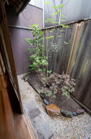 【庭】 | K21924-紫竹