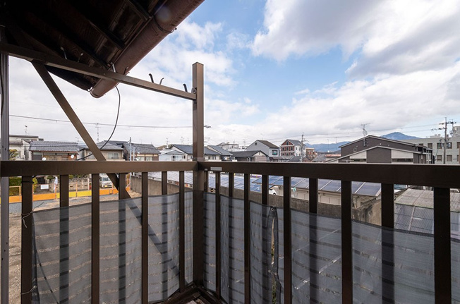 【展望】 | K21924-紫竹