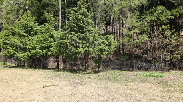 【土地】平新郷　550万円の外観