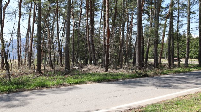 【土地】平新郷の外観
