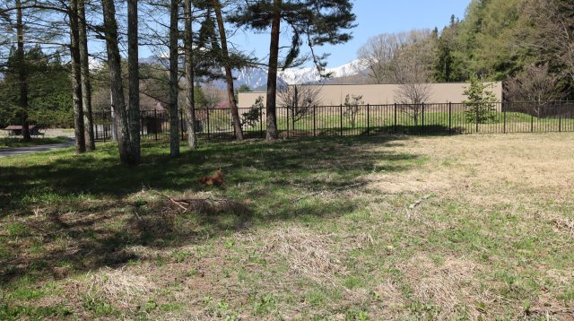 【土地】平新郷の外観