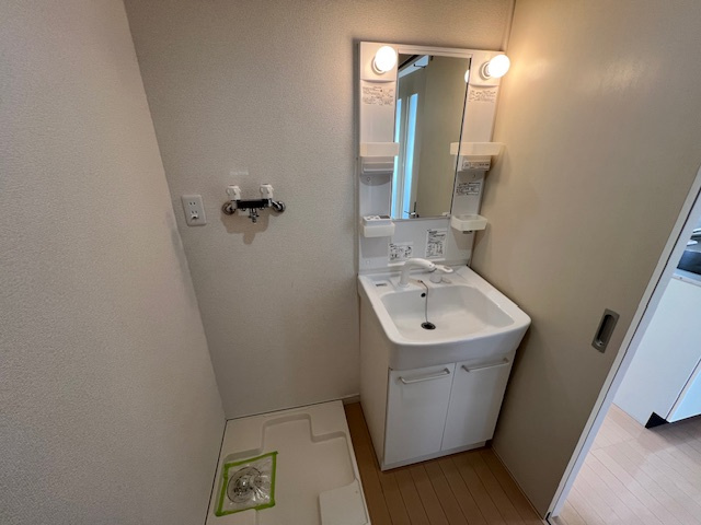 コルトーナ弐番館の洗面所