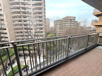 【展望】 | 2025年2月16日撮影