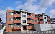 アルボーレの画像