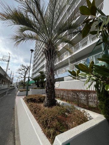 シャルム堺の外観|外観も気になるポイント