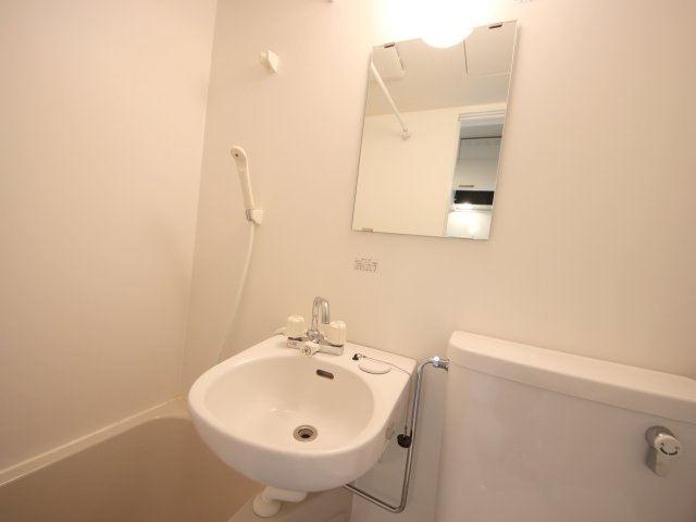 フェリス東生駒の洗面所