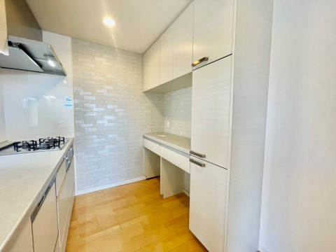 ワコーレ住吉本町ファーストのキッチン|収納スペースが豊富です