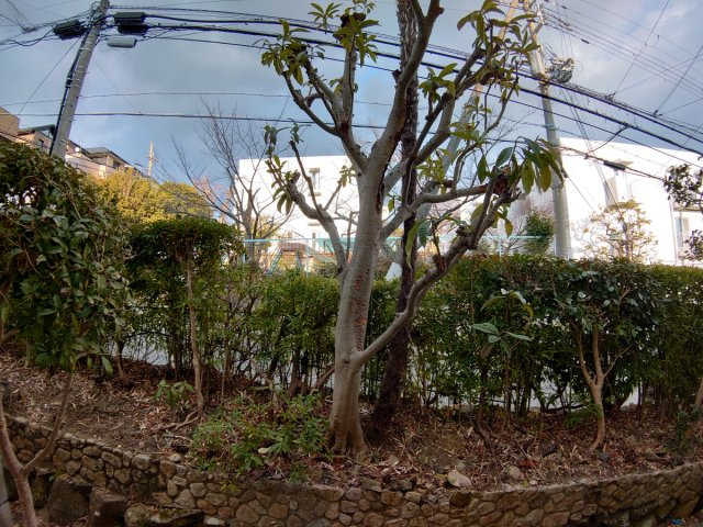 【展望】 | マンション雲雀丘