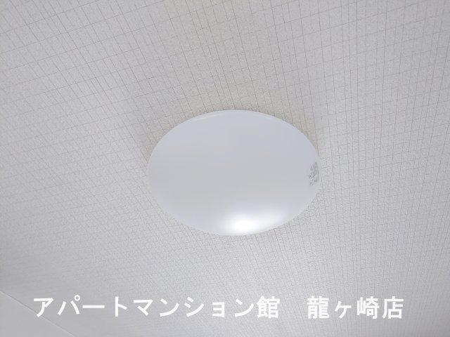 フロイデのその他