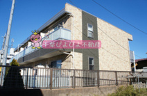 リブリ・パーシモンの画像