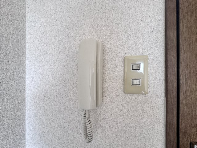 シェリーカラーのセキュリティ