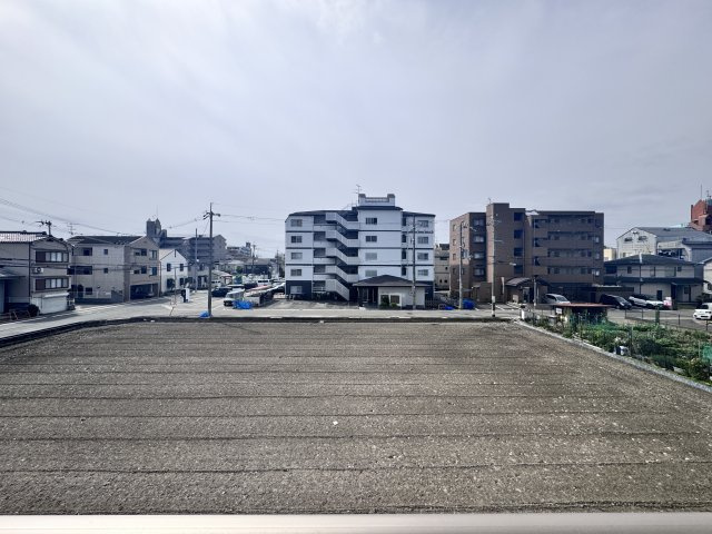 シェリーカラーの展望