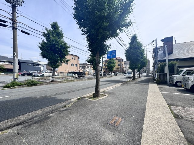 シェリーカラーの周辺