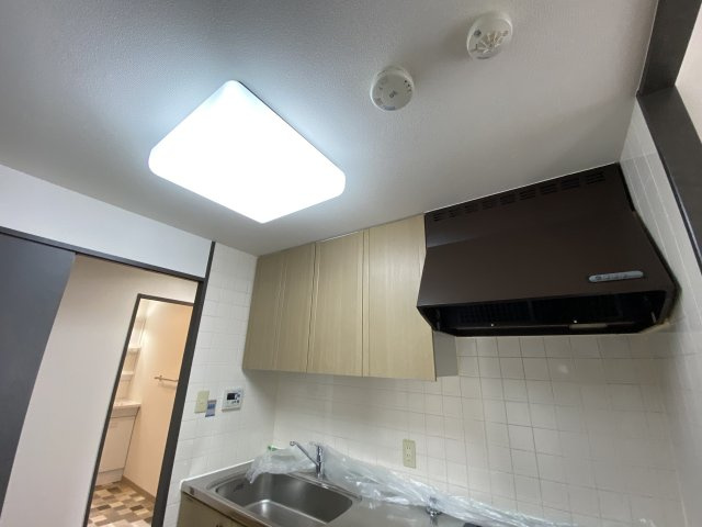 シャムロックⅡコートのその他