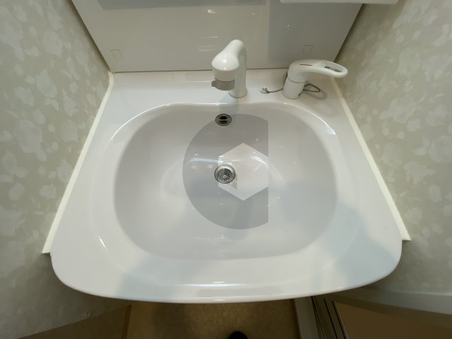 Luxe布施南2の洗面所