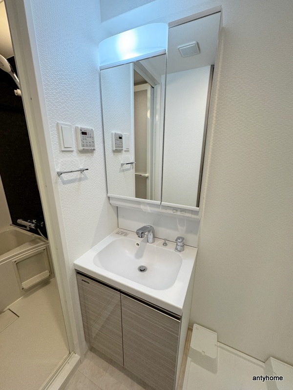 S-RESIDENCE難波大国町domina　仲介手数料無料の洗面所