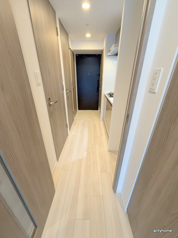 S-RESIDENCE難波大国町domina　仲介手数料無料の内装