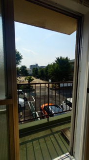 【展望】 | 杉コーポ