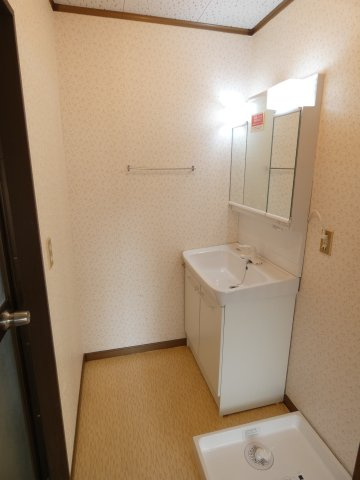 ハイツブライトの洗面所