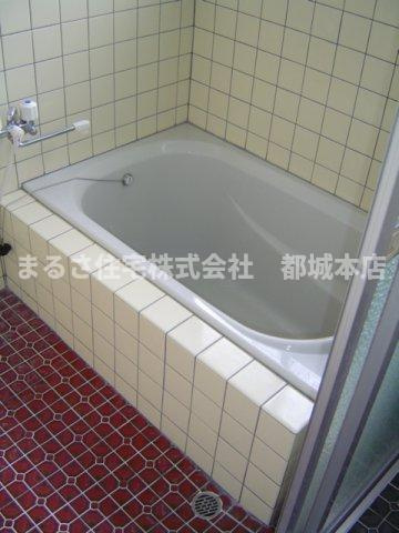 都城市鷹尾３丁目の一戸建ての浴室