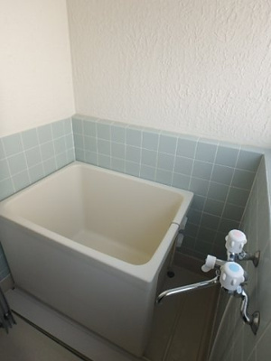  | ヴァンベール・ワカバ