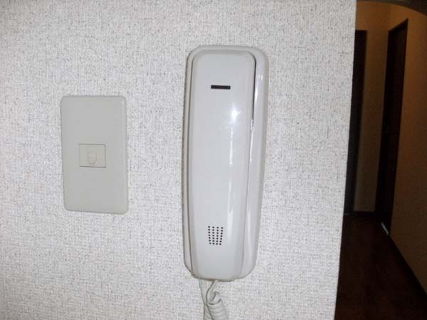 岸和田市土生町２丁目の賃貸マンションのセキュリティ