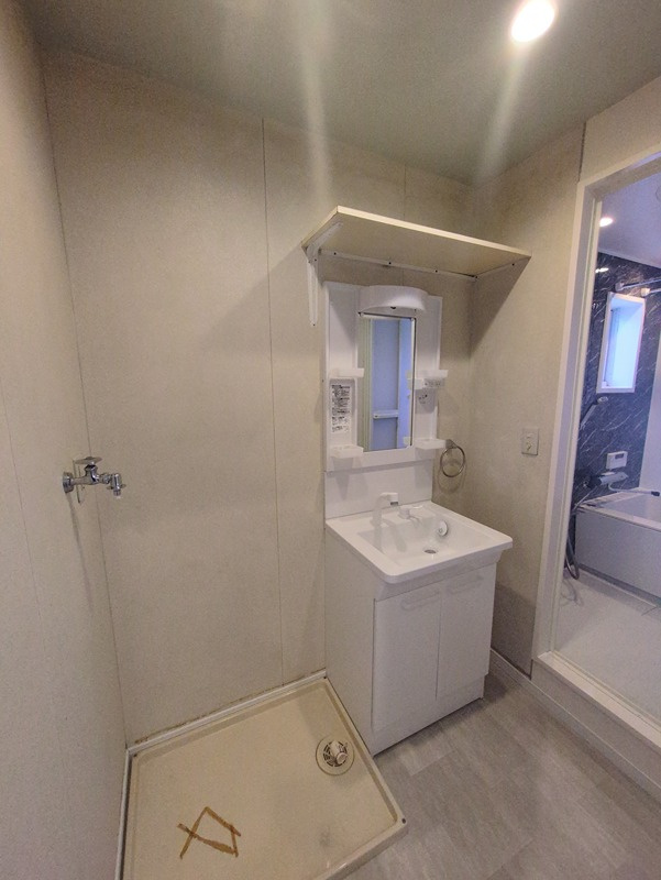 セレスコートＡの洗面所