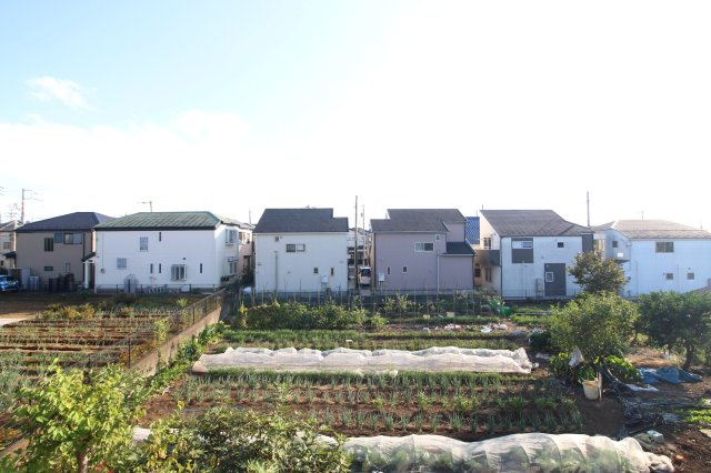 ベルコリーヌ梶ヶ谷の展望