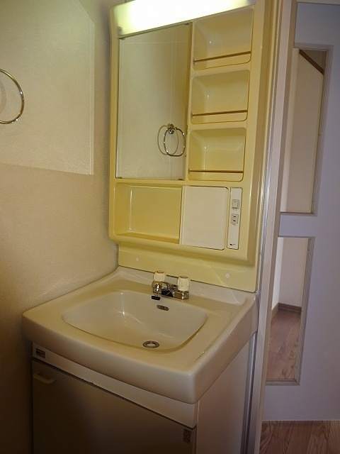 シャトー上星の洗面所