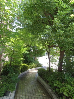 【外観】 | カサセラミカ