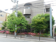 カサセラミカの画像