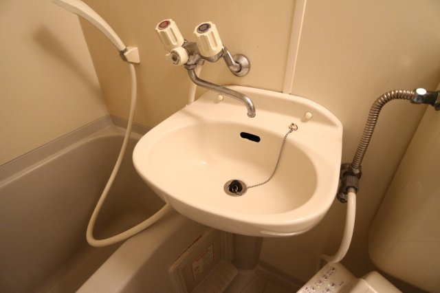 コウアロイヤル垂水part2の洗面所