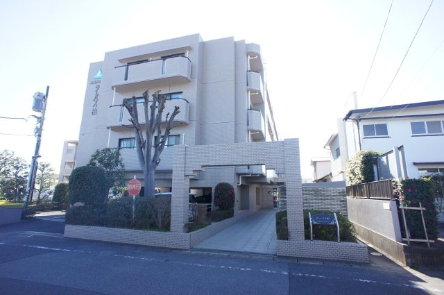 サーパス柏の画像