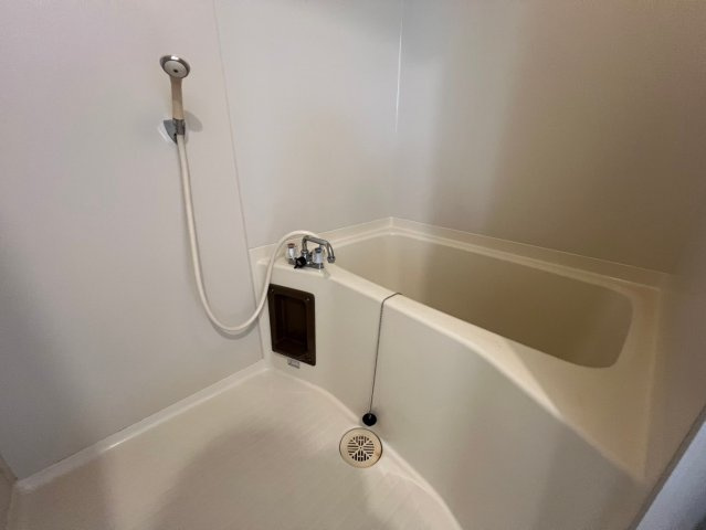 ヴィユー歌敷山の浴室