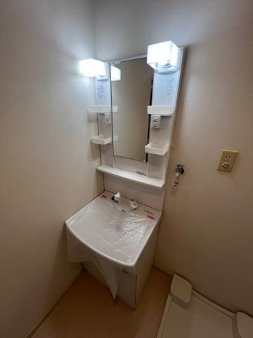 ヴィユー歌敷山の洗面所