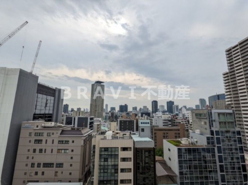 フォレステージュ谷町　BRAVI不動産の展望|【フォレステージュ谷町】独立洗面台、小物を置くことができて便利です