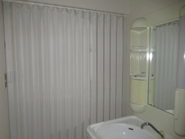 メゾン・ジュネスⅠの洗面所